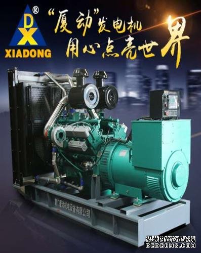 廈門發電機
